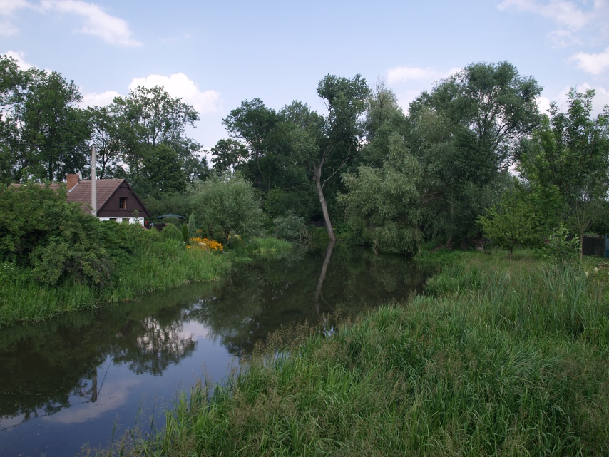 Žiželice -  ostrov